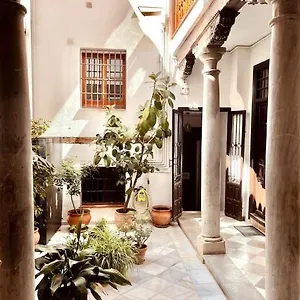 Apartment Charming Spacious Albayzin, Granada